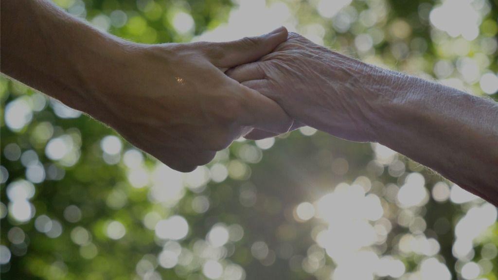 Two caregivers' hands clasping against a blurred natural Wisconsin backdrop with sunlight filtering through foliage.