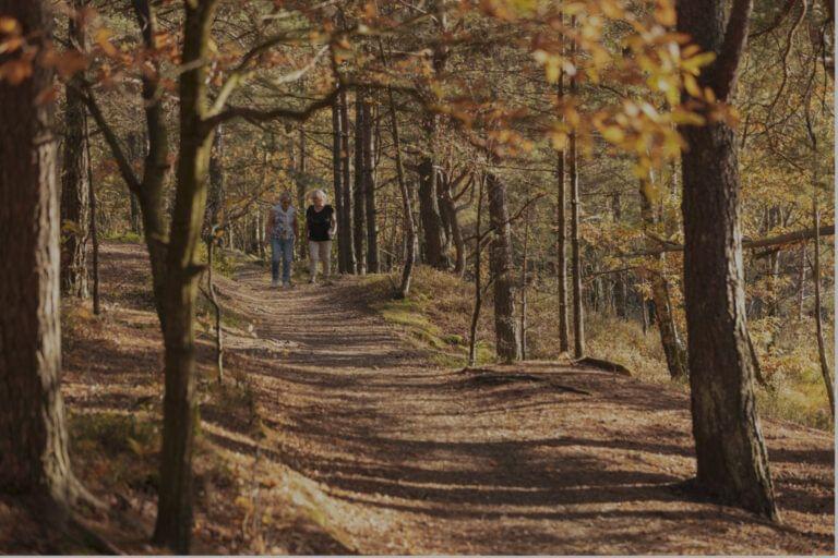 Two individuals enjoying family recreation as they walk on a forest path surrounded by autumnal trees.