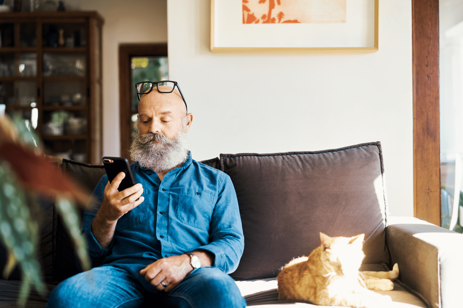 Stylish old man watching a video on his phone in the comfort of his home. Senior male sitting on a sofa with his cat browsing social media on a sunny day. Aged bald guy with beard reads on cellphone stock photo