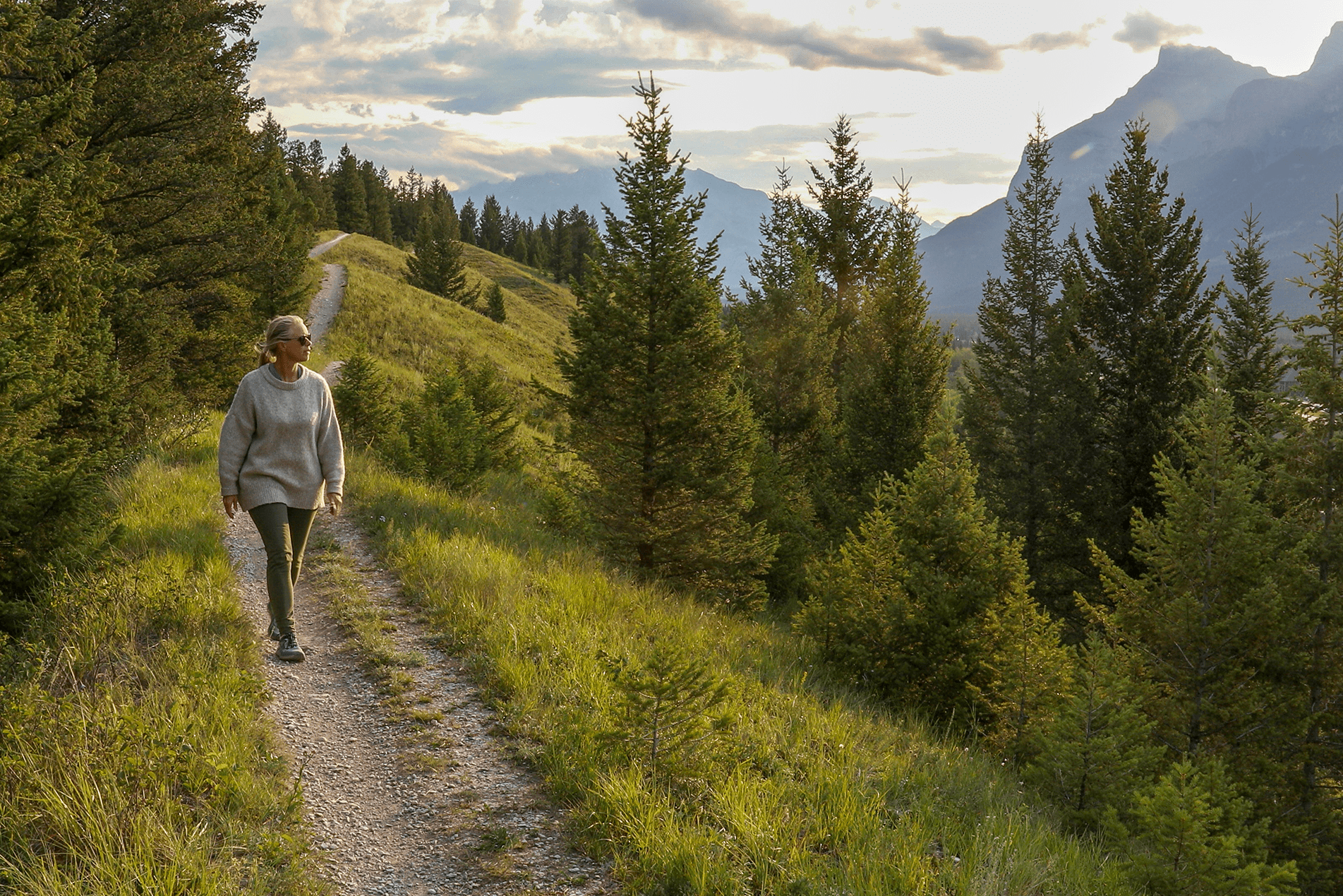 A person walking on a mountain trail surrounded by pine trees during sunset.