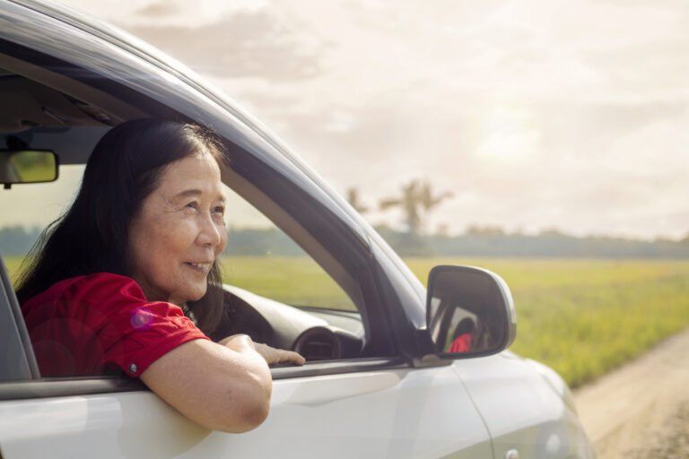 Bear Country USA South Dakota: A Caregiver’s Guide For Activities